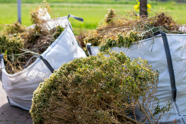 Best Office Junk Removal  in Momence, IL