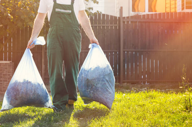 Best Construction Debris Removal  in Momence, IL