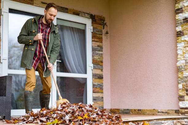 Best Commercial Cleanout Services  in Momence, IL